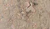 Trail Walking Saint-Cyprien - st cyprien de merde - Photo 6