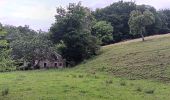 Trail Walking Theux - entre la ferme st Remacle et Hodbomont - Photo 7