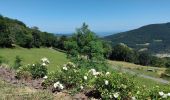 Trail Walking Vernay - VERNAY 69 - Photo 1