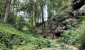 Trail Walking Echternach - Echternach-Beaufort - Photo 3