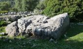 Percorso A piedi Benaocaz - LA CALZADA ROMANA - Photo 10