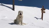 Tocht Sneeuwschoenen Belvédère - Baisse de Ferisson - Photo 4