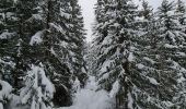 Trail Touring skiing Bourg-Saint-Maurice - Arcs Le Chantel vers Peisy Vallandry (Boucle) - Photo 3