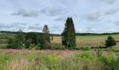 Tour Wandern Neufchâteau - Challenge marches chestrolaises Grandvoir 2020 - Photo 9