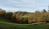 Tour Wandern Pepinster - Randonnée à Pepinster  - Photo 14