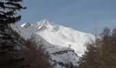 Trail Snowshoes Montricher-Albanne - Albanne - Prario -la Plagne - le Belvedere - Photo 11