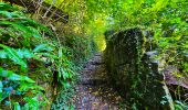 Tour Wandern Dinant - Balade à Dinant - Photo 14