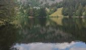 Tocht Stappen Orbey - randonnée des 3 lacs, lac noir , lac blanc et lac du former ( lac des truites) Vosges  - Photo 4