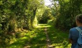 Trail Walking L'Orbrie - Boucle Mervent  - Photo 13