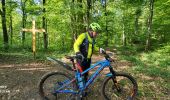 Trail Electric bike Mertzen - sortie vtt 12052024 frontière suisse D'elle singles - Photo 4
