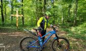 Tocht Elektrische fiets Mertzen - sortie vtt 12052024 frontière suisse D'elle singles - Photo 4