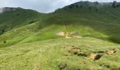 Tocht Stappen Saint-Pierre-de-Chartreuse - Col Charmette Grand Sur sommet 10,7 km - Photo 12