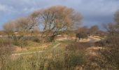 Trail On foot Wassenaar - Strandroute - Photo 6