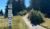 Tour Wandern Hauteluce - Mont Clocher - Photo 3
