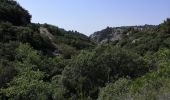 Tour Wandern Mérindol - Les gorges de regallon à partir de Merinol - Photo 13