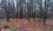 Tour Wandern Esneux - beauregard . famelette . roche aux faucons . plainevaux . beau beauregard - Photo 2