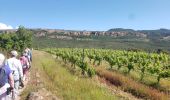 Randonnée Marche Le Muy - Randonnée dans les vignes- Château du Rouet- réel - Photo 2