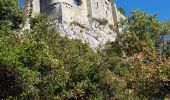 Tour Wandern Valflaunès - 34- Valflaunes - crêtes de l Hortus et Château de Vivioures - Photo 2