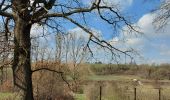 Trail Walking Court-Saint-Étienne - en passant par le moulin... - Photo 2