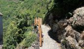 Percorso Marcia Vignec - St lary fait - Photo 1