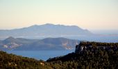 Trail Walking Cassis - Le Mont Gibaou **(cassis 13) - Photo 15