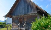 Tour Zu Fuß Uster - Uster - Pfannenstil Hochwacht - Photo 3