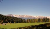 Tour Zu Fuß Vöran - Wanderweg 1 - Photo 6