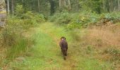 Randonnée Marche Montfiquet - cerisy la forêt 5km - Photo 11