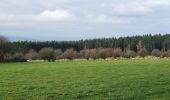 Tour Wandern La Roche-en-Ardenne - rando samrée 13/11/2020 - Photo 19