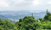 Trail Horseback riding Mollkirch - 2019-08-03 Balade Heidenkopf après Maréchal  - Photo 3
