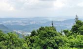 Tour Reiten Mollkirch - 2019-08-03 Balade Heidenkopf après Maréchal  - Photo 3