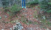 Trail Walking Séchilienne - Lac de Luitel - Pic de l'oeilly  - Photo 14