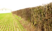 Trail On foot Poperinge - Zevekotepad Reningelst - Photo 7