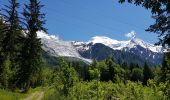 Randonnée Marche Chamonix-Mont-Blanc - la cascade du Dard à gare de Chamonix  - Photo 13