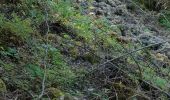 Trail Walking Pontgibaud - LA CHEIRE DE PONTGIBAUD - Photo 17