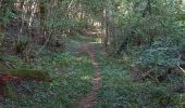 Excursión Bici eléctrica Saint-Clément - sortie vtt 08102023 bertrichamps et sentiers romains - Photo 1