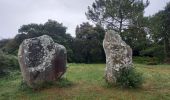 Trail Walking Plouharnel - dolmen de Crucuno - Photo 2