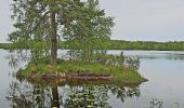 Trail On foot Unknown - Orrefors vandringsled - Photo 10