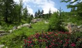 Trail Walking Vinadio -  St Anna di Vinadio - Photo 4