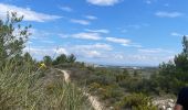Trail Walking Bages - Nages d’Aude - Photo 6