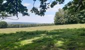 Trail Walking Hamoir - hamoir . sy . hamoir  - Photo 5