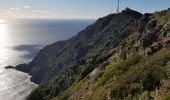 Tocht Trail La Seyne-sur-Mer - fabregas, sémaphore du cap Sicié. sentier du littoral  - Photo 14