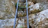 Tocht Stappen La Palud-sur-Verdon - Sentier-Imbut-et-Vidal - Photo 1