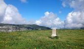 Randonnée Marche Entremont-le-Vieux - Croix de l Alpe Le Pinet  - Photo 7