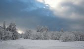 Tour Schneeschuhwandern Saint-Agnan-en-Vercors - Beure - Écondus - Photo 20
