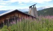 Randonnée Marche Samoëns - plateau des saix . la corne . les biollaires . pointe de cupoire .  plateau des saix - Photo 9