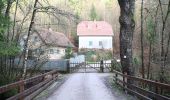 Tour Zu Fuß Bischbrunn - Ortswanderweg Bischbrunn 1 - Photo 4