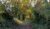 Trail Walking Anhée - Randonnée pédestre Abbaye Maredsous - Photo 8