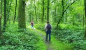 Tour Wandern Sivry-Rance - Balade à Montbliart - Photo 6