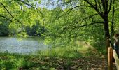 Trail Walking Saint-Hubert - WandArdBos 14 Mirwart (PVDB) - Photo 4